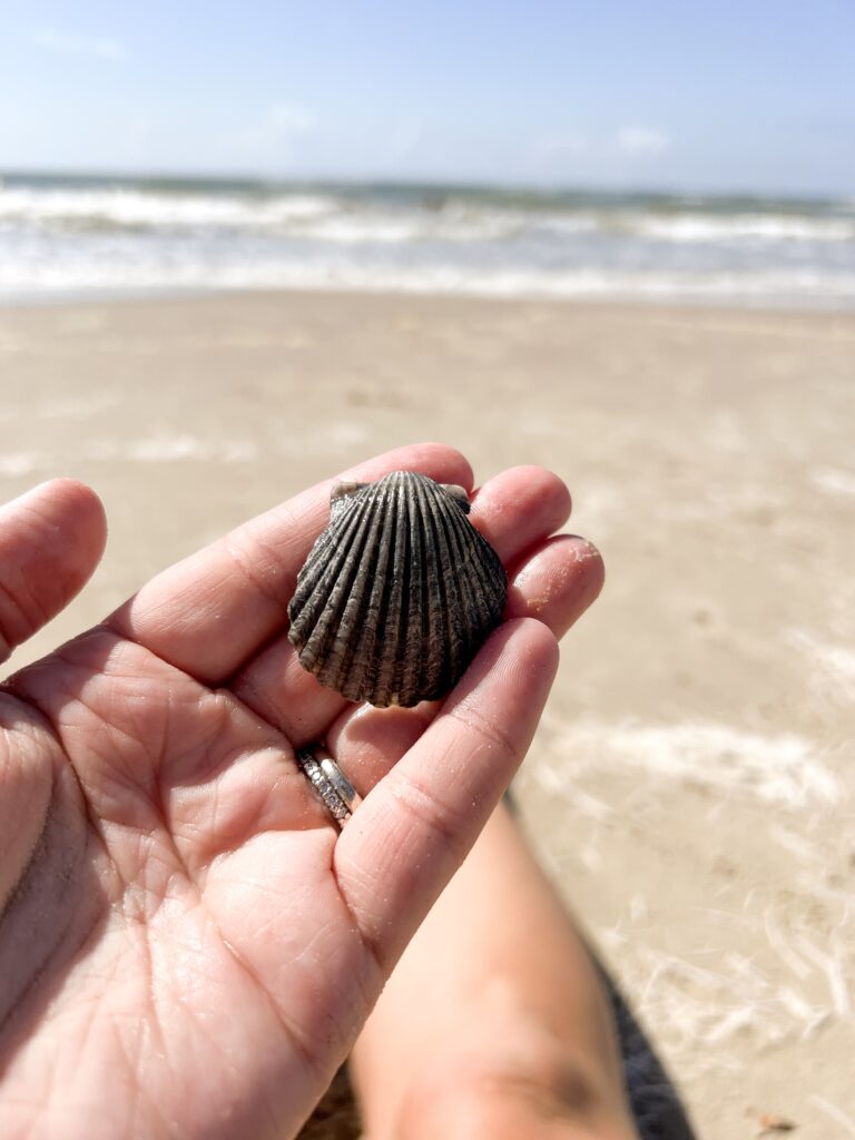 Rockport Texas, family coast house, onsite lodging, Texas beach, family on water, salt life