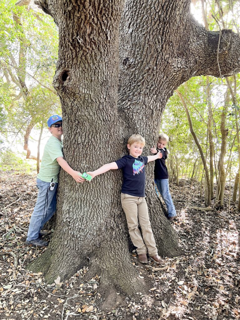 Texas venue, Texas owl, century oak trees, wedding property, Texas wedding property